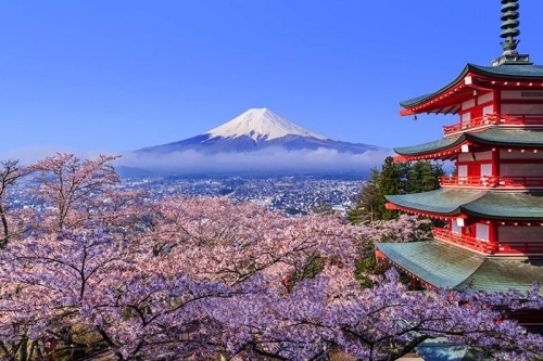 Tour du lịch Nhật Bản 5 ngày khởi hành từ Hà Nội: Núi Phú Sĩ