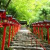 Tour du lịch Nhật Bản 5 ngày từ Hà Nội: Đền thờ Hakone