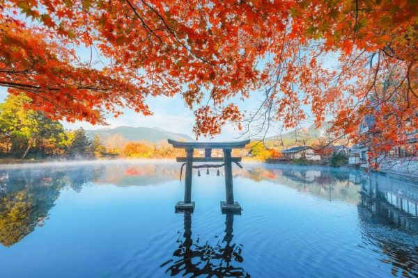 tour du lịch nhật bản mùa lá đỏ 4