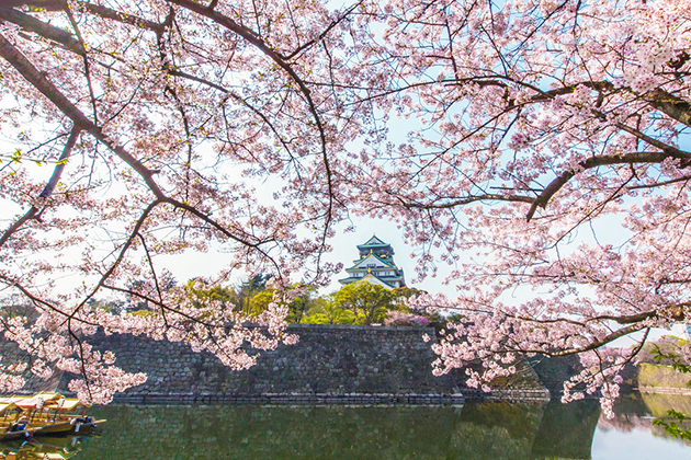 Tour du lịch Nhật Bảntrọn gói 6 ngày 5 đêm - Lâu đài Osaka