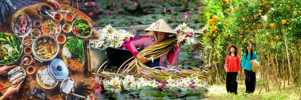 Du Lịch Tầm Nhìn Việt