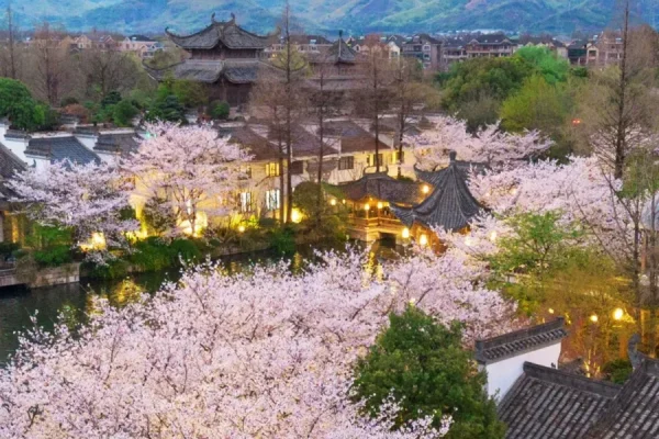 Tour Trung Quốc ngắm hoa anh đào