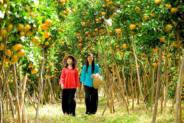Trải nghiệm thăm quan miệt vườn miền Tây Nam Bộ