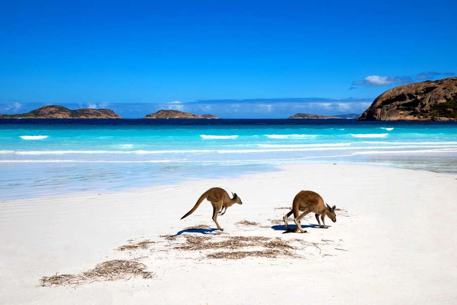 Khám phá bãi biển đẹp nhất tại Úc