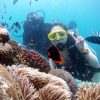 voucher du lịch phú quốc 2020 ngắm san hô
