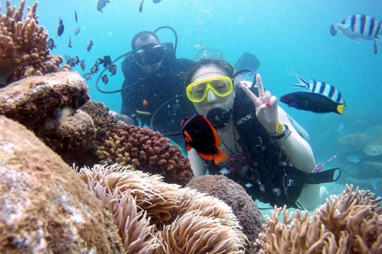 voucher du lịch phú quốc 2020 ngắm san hô