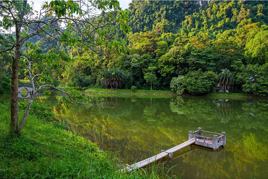 vườn quốc gia Cúc Phương Thanh Hóa - địa điểm đẹp để du lịch ở Thanh Hóa